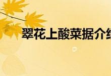 翠花上酸菜据介绍（故事梗概是什么）