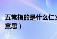 五常指的是什么仁义礼智信（五常指的是什么意思）