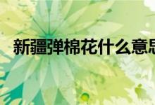 新疆弹棉花什么意思（新疆弹棉花什么梗）