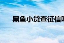 黑鱼小贷查征信吗（小黑鱼查征信吗）