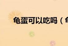 龟蛋可以吃吗（龟蛋可以吃吗怎么吃）
