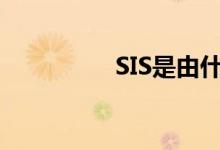 SIS是由什么组合而成的