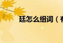 廷怎么组词（有关廷有什么组词）