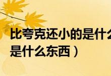 比夸克还小的是什么基本粒子（比夸克还小的是什么东西）