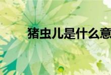 猪虫儿是什么意思（猪虫儿是什么）