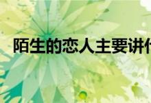 陌生的恋人主要讲什么（陌生的恋人简介）