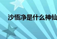 沙悟净是什么神仙（沙悟净是什么动物）