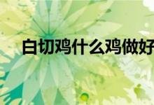白切鸡什么鸡做好吃（白切鸡什么意思）