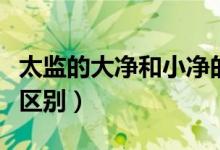 太监的大净和小净的区别（净军和太监有什么区别）