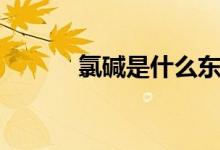 氯碱是什么东西（氯碱是什么）