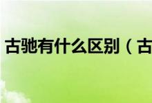 古驰有什么区别（古驰和古奇有什么不同古）