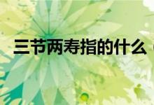 三节两寿指的什么（三节两寿指的是什么）