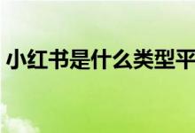 小红书是什么类型平台（小红书是什么东西）