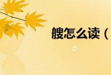 艘怎么读（艘生字的读音）