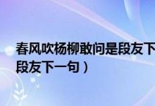 春风吹杨柳敢问是段友下一句是什么?（清风拂杨柳敢问是段友下一句）