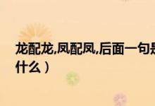 龙配龙,凤配凤,后面一句是什么（龙配龙凤配凤后面一句是什么）