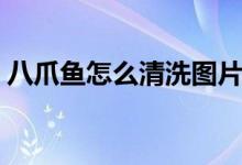 八爪鱼怎么清洗图片（八爪鱼怎么清洗内脏）
