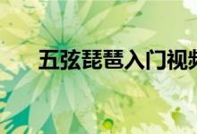 五弦琵琶入门视频（五弦琵琶几根弦）