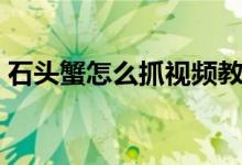 石头蟹怎么抓视频教程（石头蟹怎么做好吃）