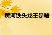 黄河铁头龙王是啥（黄河铁头龙王是什么）