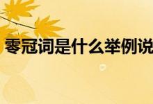 零冠词是什么举例说明（零冠词是什么意思）