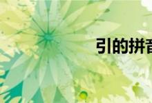 引的拼音（引组词）
