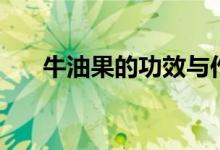 牛油果的功效与作用（牛油果是什么）