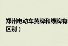 郑州电动车黄牌和绿牌有啥区别（郑州电动车黄牌和绿牌的区别）