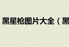 黑星枪图片大全（黑星是一把什么类型的枪）