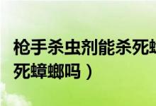 枪手杀虫剂能杀死蟑螂吗（枪手杀虫剂可以杀死蟑螂吗）