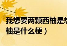 我想要两颗西柚是想表达什么（我想要两颗西柚是什么梗）