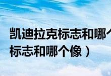 凯迪拉克标志和哪个车标志差不多（凯迪拉克标志和哪个像）