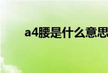 a4腰是什么意思（a4腰是什么尺寸）