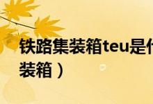 铁路集装箱teu是什么意思（teu是指什么集装箱）
