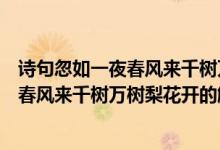 诗句忽如一夜春风来千树万树梨花开的意思（诗句忽如一夜春风来千树万树梨花开的解释）