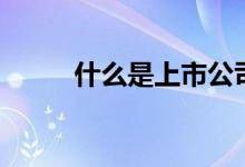 什么是上市公司（上市公司简介）