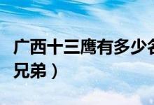 广西十三鹰有多少名战将（广西十三鹰有多少兄弟）