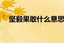 坚毅果敢什么意思（坚毅果敢是啥意思）