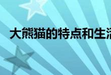 大熊猫的特点和生活特征（大熊猫的特点）