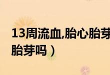 13周流血,胎心胎芽正常（怀孕13周才见胎心胎芽吗）