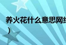 养火花什么意思网络用语（养火花什么意思啊）