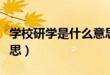 学校研学是什么意思（中小学生研学是什么意思）