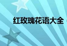 红玫瑰花语大全（红玫瑰花语是什么）