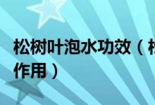 松树叶泡水功效（松树叶子泡水喝有哪些功效作用）