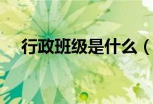 行政班级是什么（行政班级是什么意思）