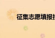 征集志愿填报技巧（流程是什么）