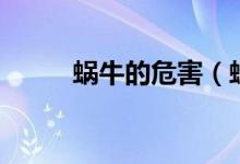 蜗牛的危害（蜗牛的危害有什么）