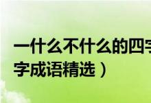 一什么不什么的四字成语（一什么不什么的四字成语精选）