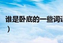 谁是卧底的一些词语（谁是卧底的词语有哪些）