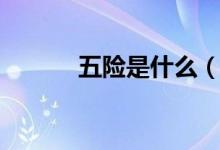 五险是什么（五险有什么特点）